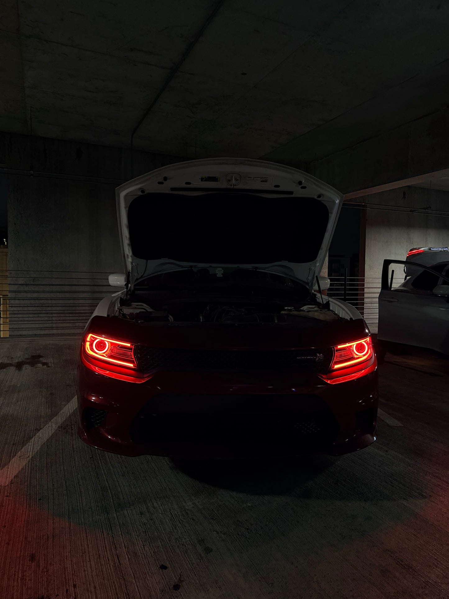 Dodge Charger: Multicolor Flow Series Halo Headlights (2015–2024)