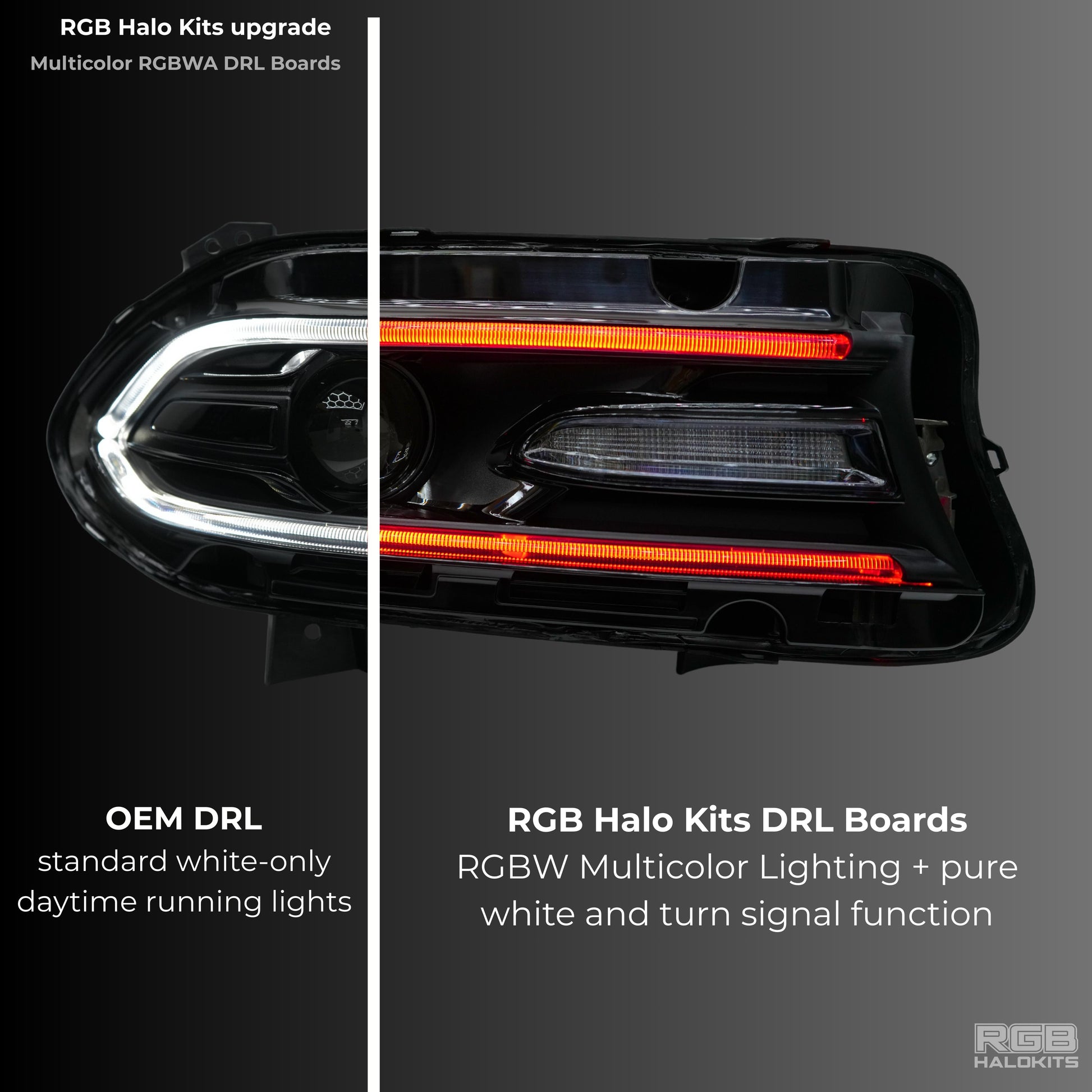 Dodge Charger RGBWA DRL Boards (2015-2024) - image 3
