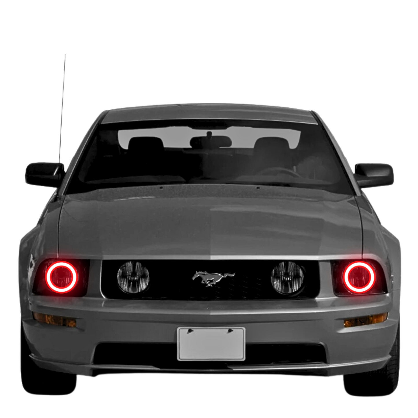 Ford Mustang Multicolor Halo Kit (2005-2009) - image 2
