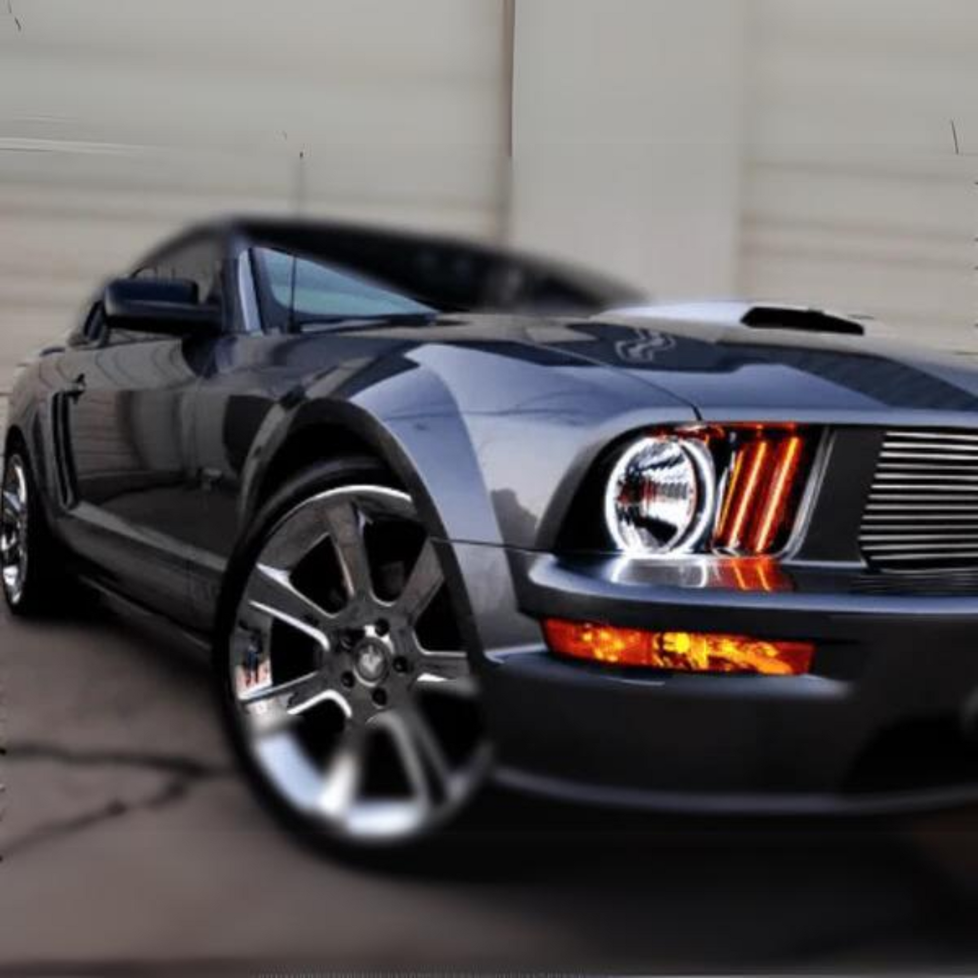 Ford Mustang Multicolor Halo Kit (2005-2009) - image 4