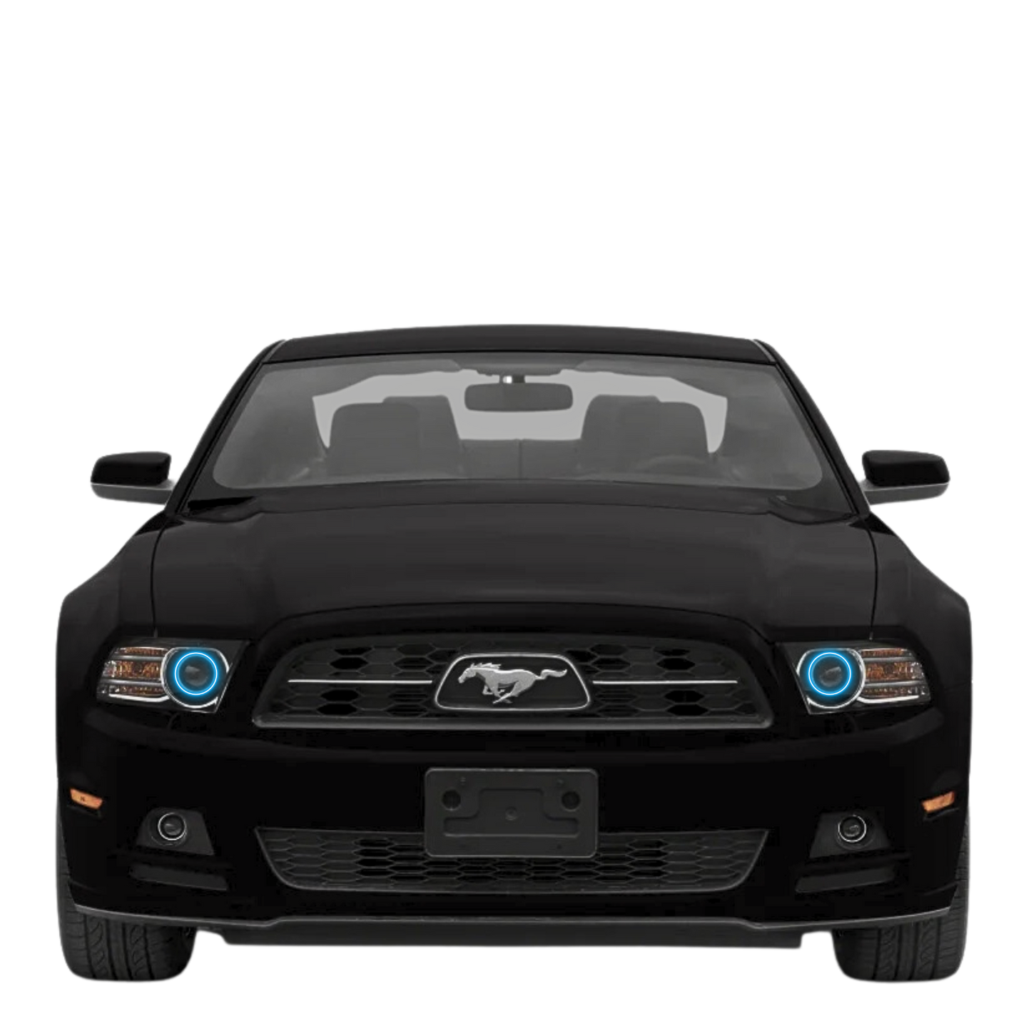 Ford Mustang Multicolor Halo Kit (2010-2013)