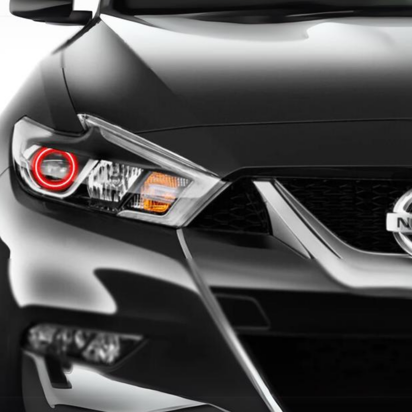 Nissan Maxima Multicolor Halo Kit (2015-2017) - image 2