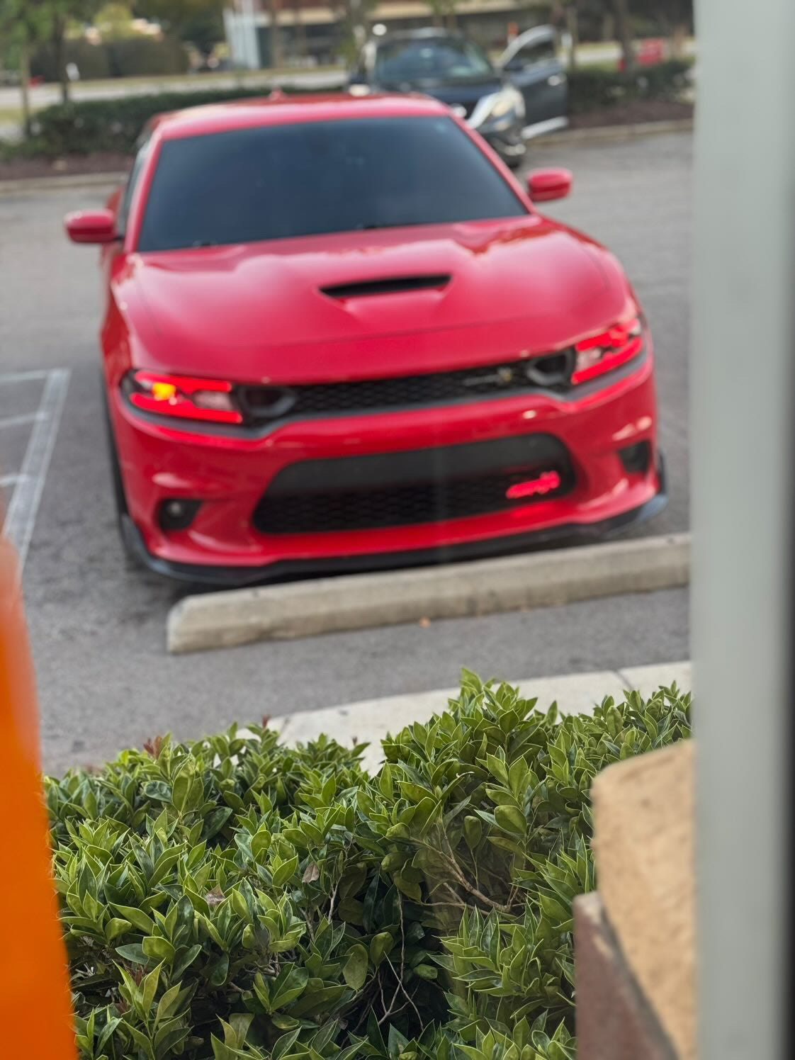 Marii Customz Dodge Charger RGBW flow series headlights photo 2